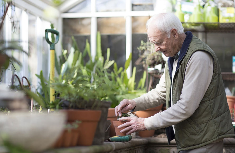 Kā darbojas imunitāte?